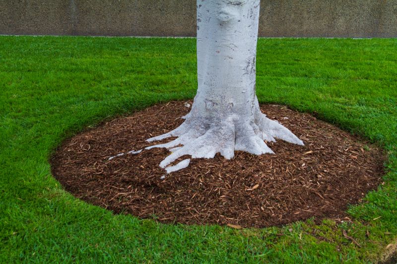 Cedar Mulch Installation in Honolulu, HI