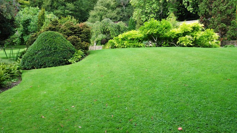 Commercial Landscaping in Honolulu, HI