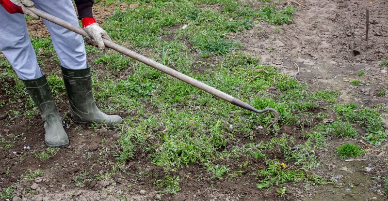 Garden Cleanup Service in Honolulu, HI