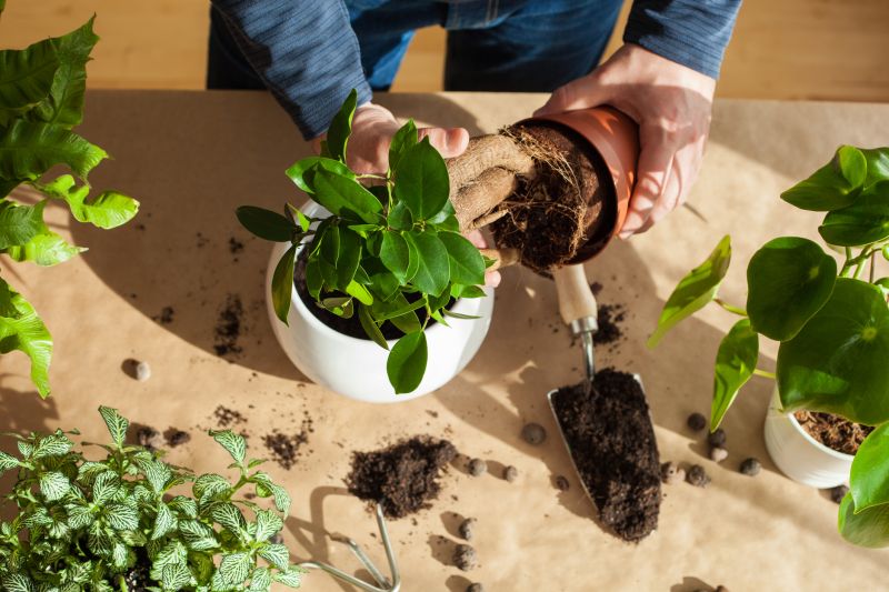Garden Maintenance Service in Ventura County, CA