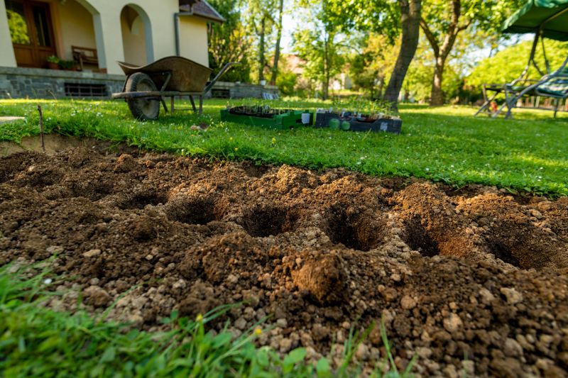 Gardening Service in Ventura County, CA