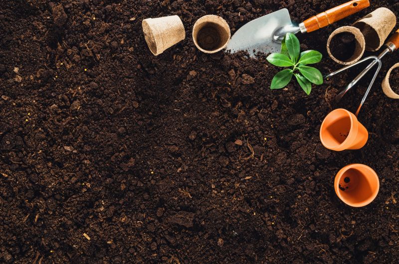 Plant Selection and Placement