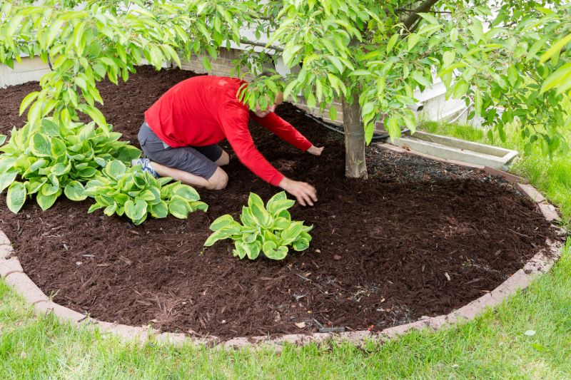 Organic Mulch Installation in Honolulu, HI