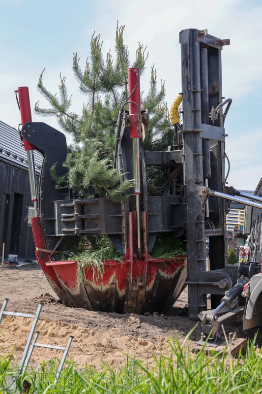 Tree Landscaping in Ventura County, CA
