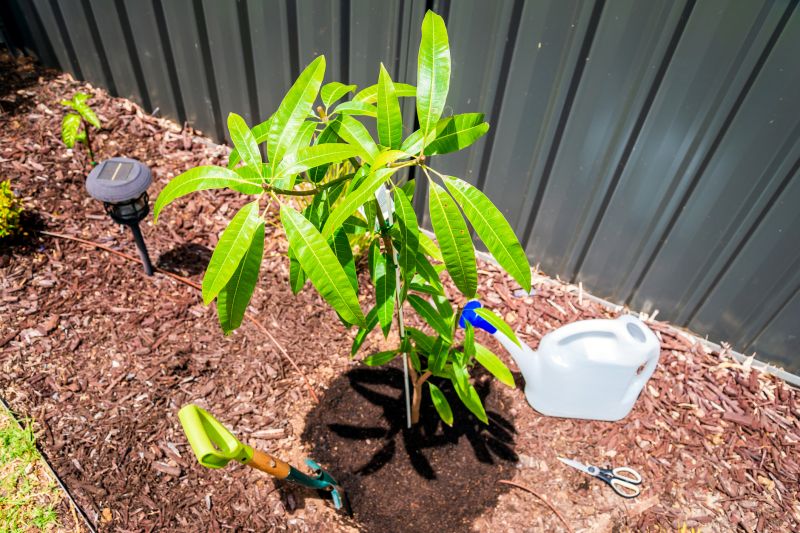 Tree Planting Service in Ventura County, CA