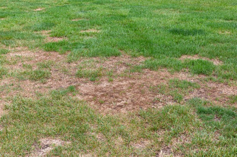 Honolulu, HI