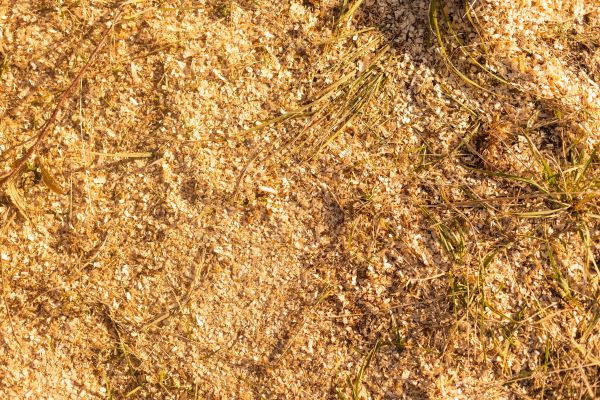 Grow your Bark Dust Blowing business